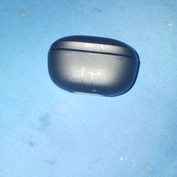 Skullcandy Earbuds Case 