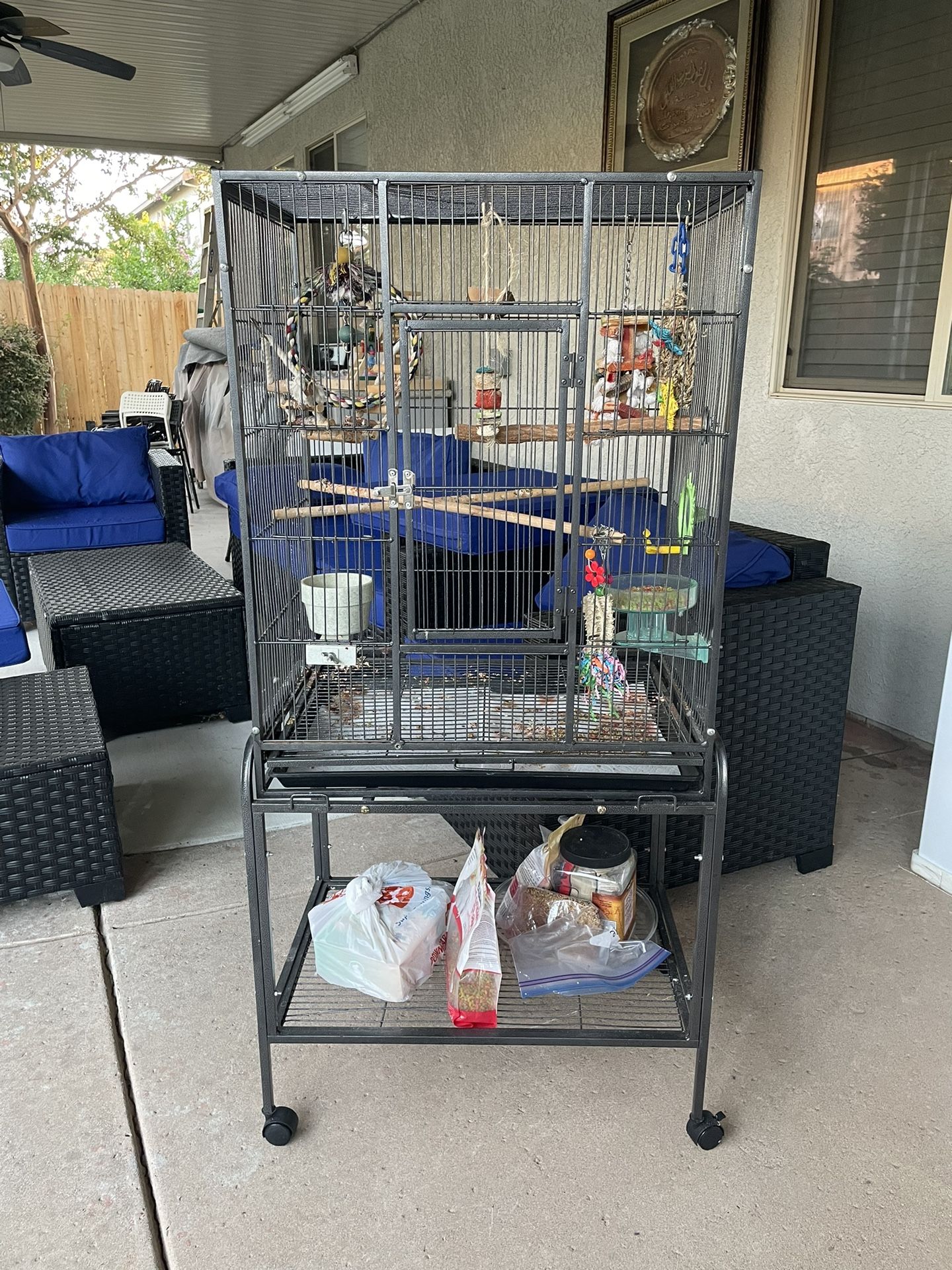Bird Cage