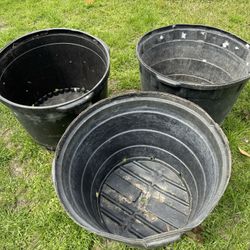 Nursery Pots 