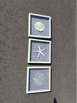 Ocean Art Starfish, Coral and Sponge