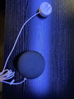 Google Nest Mini