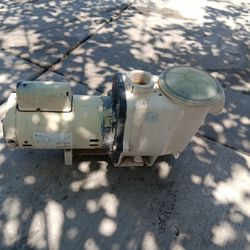 Petair Pool Pump & Heyward Pool Pump