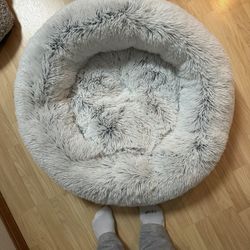 Home Goods Circle Bed