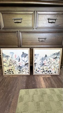 2 framed art pieces