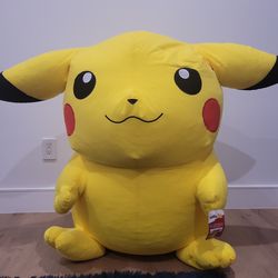 Big Pikachu stuffy.