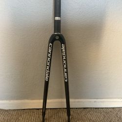 Carbon  Fork