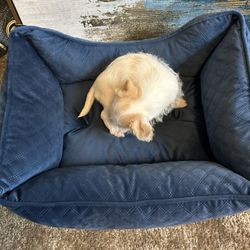 Brand New Bed Very Small 
