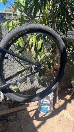 Throne 29er read description