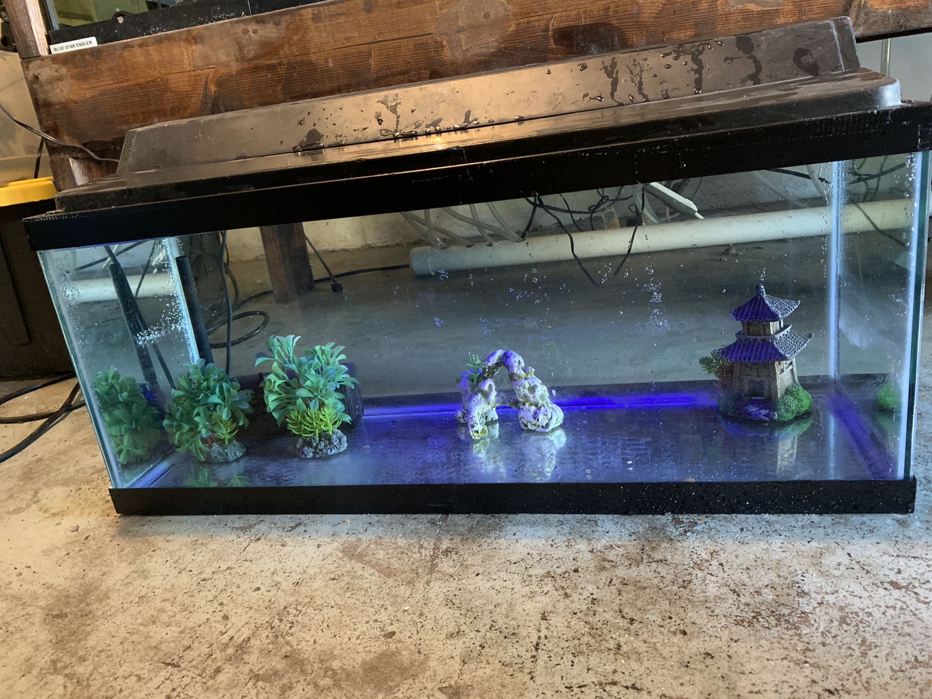 20 gallon long fish tank aquarium with filter, top and working light