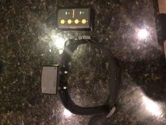 Pet safe shock collar