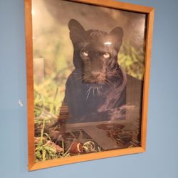 "Black Jaguar" Framed Art Print Poster - 20.5"x17"