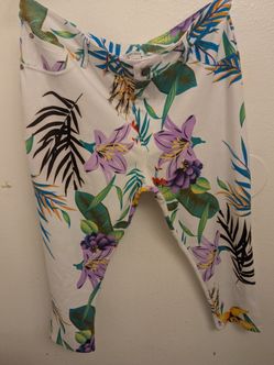 Stretch pants size 2x