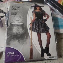 Twilight Witch Halloween Costume