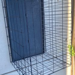 Dog Cage 