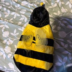 Dog Bumble Bee Halloween Costume 