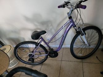 Bycicle Schwinn