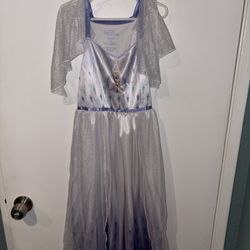 Frozen Nightgown 
