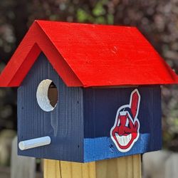 Chief Wahoo Bird House 