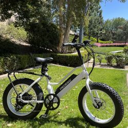 Pedego Element