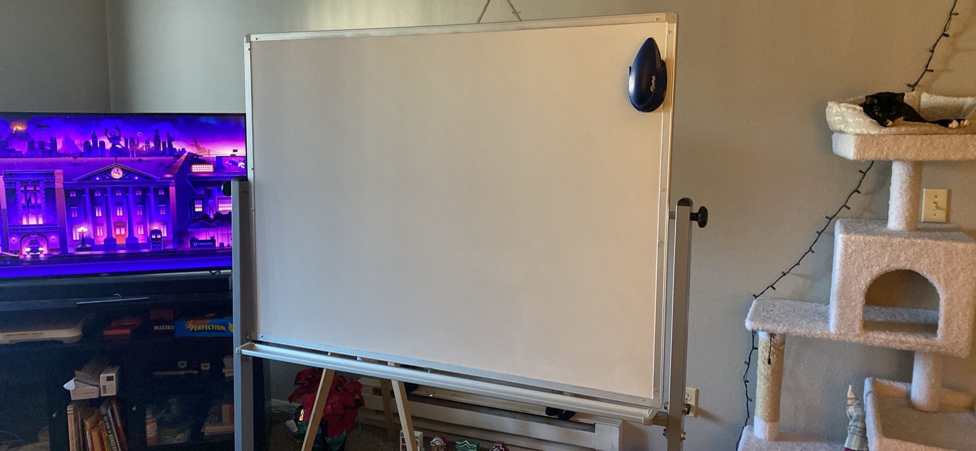 Whiteboard