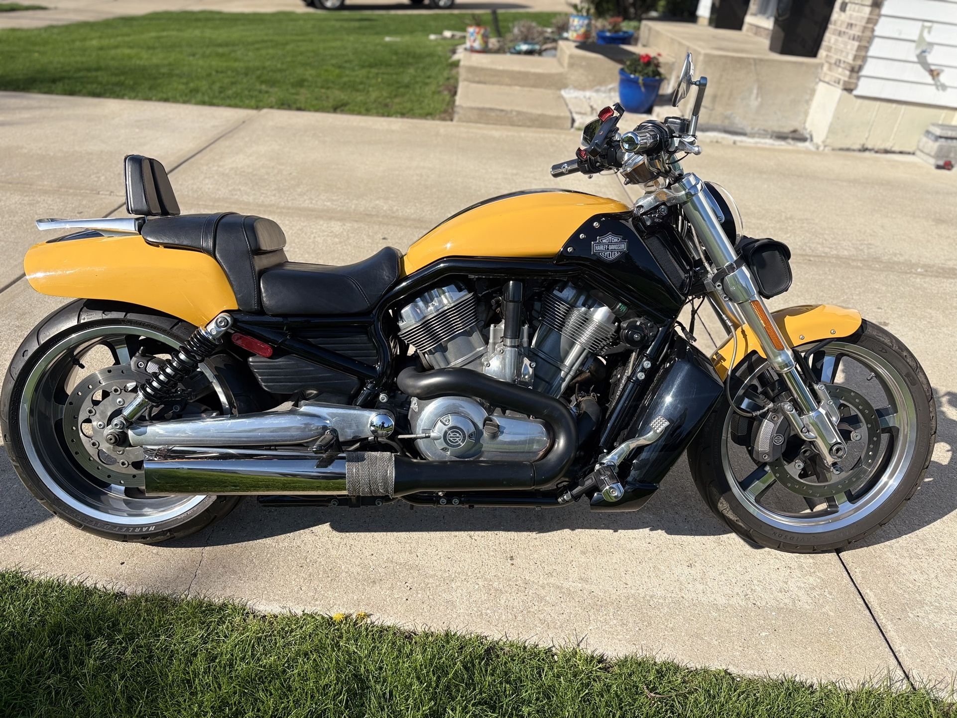 2011 Harley Davidson Vrod Muscle