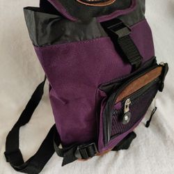 Small Backpack Great Condition 