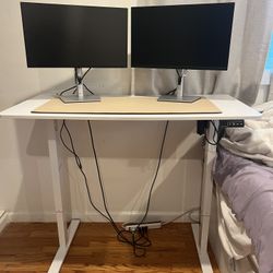 Electric Standing Desk 