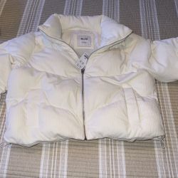 New Hollister Jacket