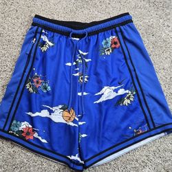 Nike Hoop Island Basketball Shorts XL Mens Blue Pockets Dri-Fit DNA +
