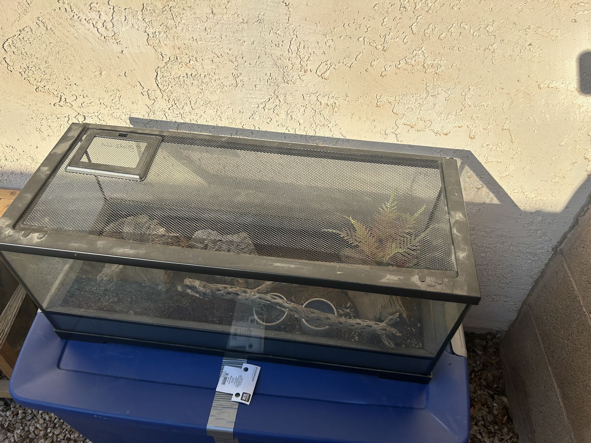 Reptile Tank