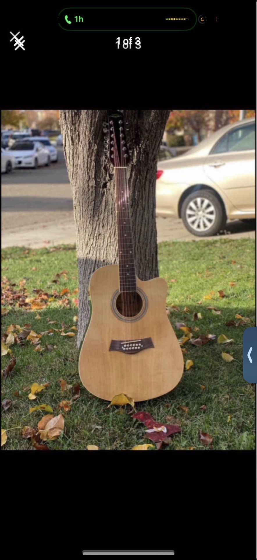 Acoustic Guitar 12 String 