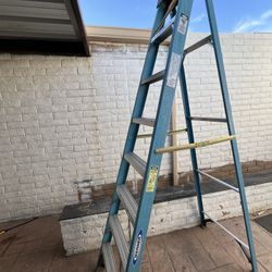 Werner 8 FT Ladder 