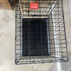 Dog kennel 