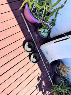 Olympic Bench Press Bar W/ (2) 25lb Weights