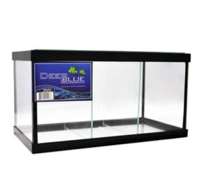 1-5 Betta in one tank