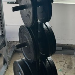 Rubber Weights (270 Lbs) + Weight Tree