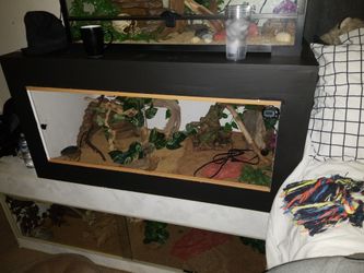 I Want To Buy Terriums 100$ To $150