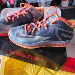 10.5 LeBron Nikes