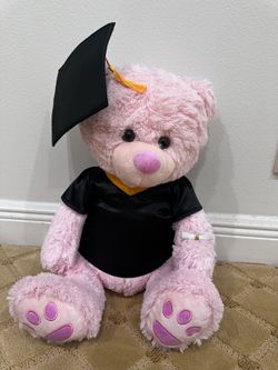 Graduation Pink Bear