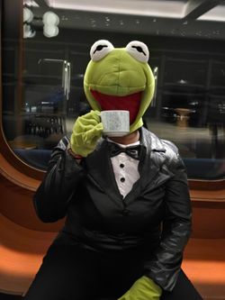 Kermit The Frog Adult Men's Costume