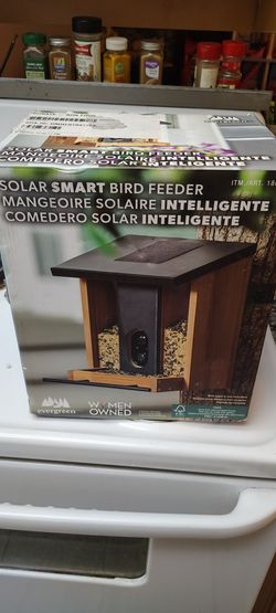 Evergreen solar Smart bird feeder