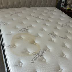 Free Queen size mattress