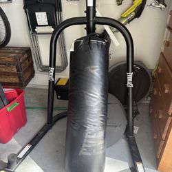Everlast Punching Bag and Boxing Gloves.
