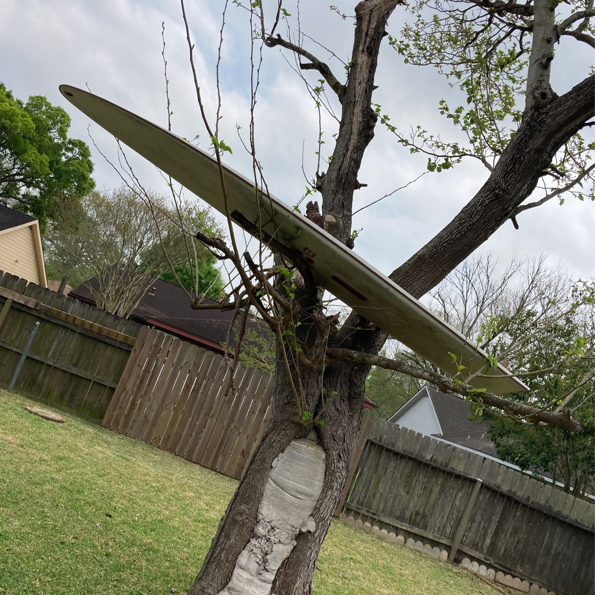 Windsurfing Board