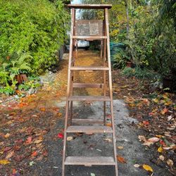 6 Foot Utility Ladder