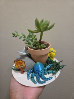 Plant