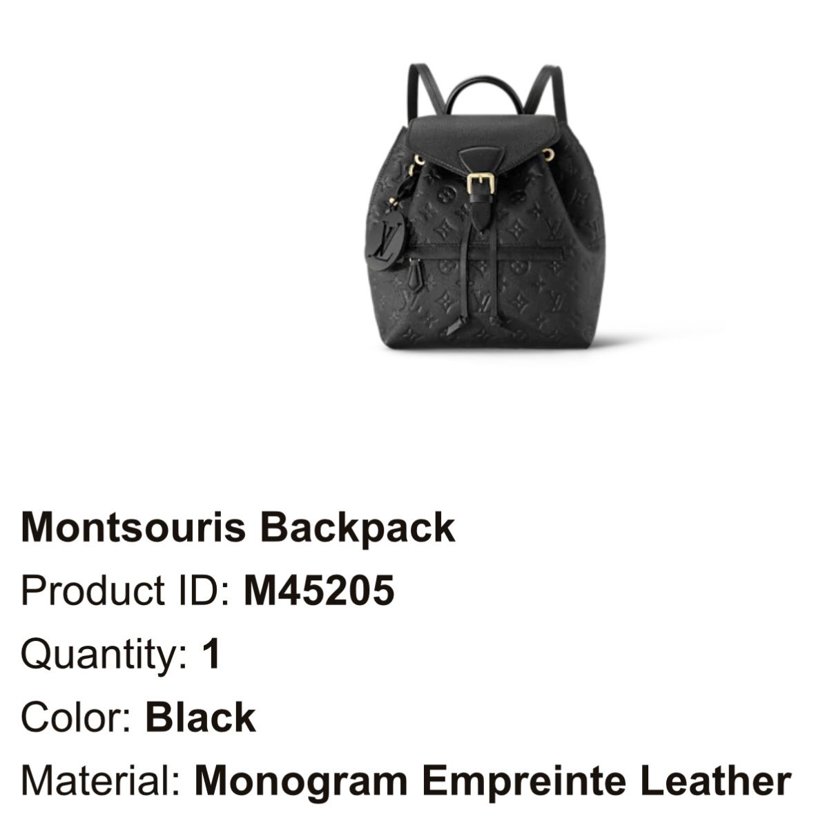 Louis Vuitton Backpack