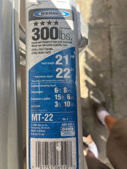 Werner Folding ladder