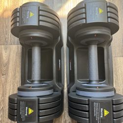 Adjustable Dumbbells 55 Pounds (read description)