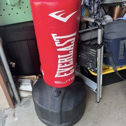 Everlast Punching Bag 